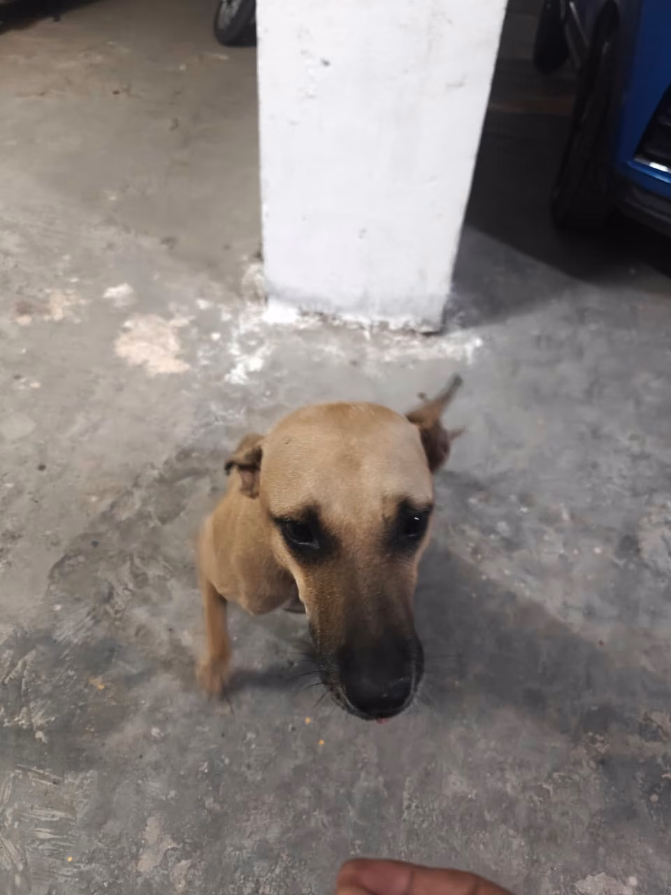 Raku